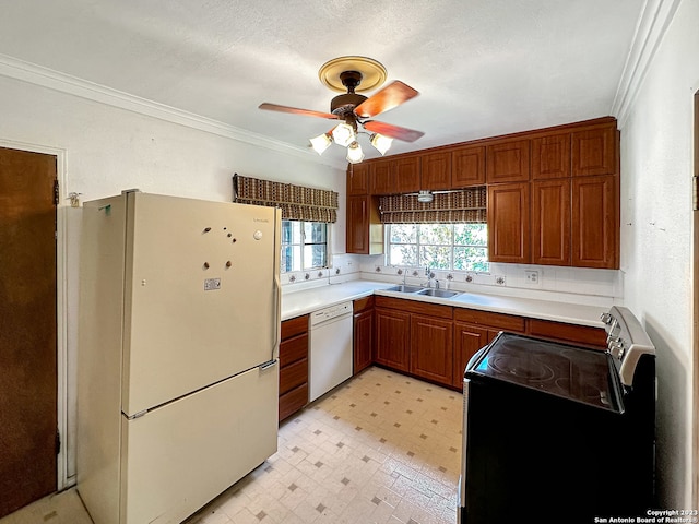 kitchen with ceiling fan, sink, crown molding, a textured ceiling, and white appliances