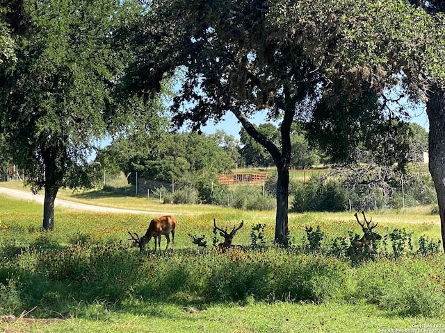 LOT43 Blackbuck Trl, Pipe Creek TX, 78063 land for sale