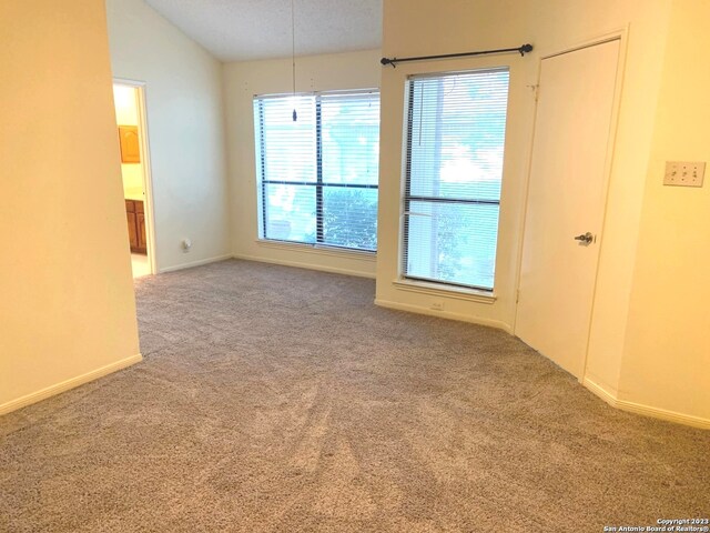 spare room with lofted ceiling, a wealth of natural light, and light colored carpet