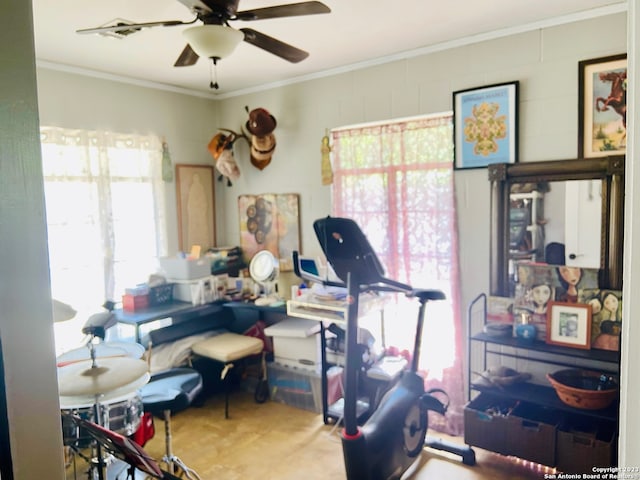 workout room with ceiling fan, ornamental molding, and a wealth of natural light