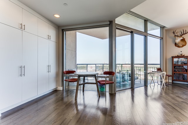 dining room with expansive windows and dark hardwood / wood-style flooring