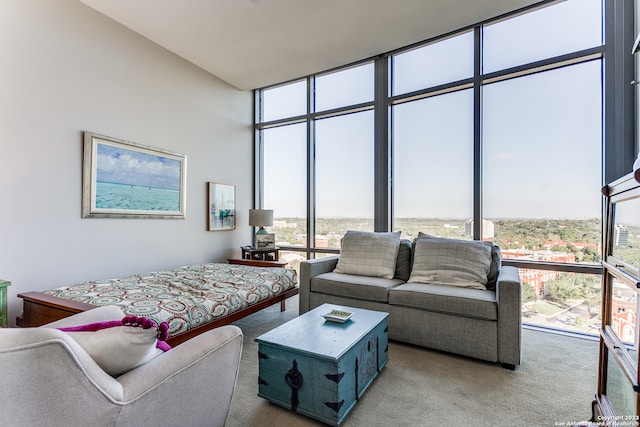 living room featuring expansive windows, light carpet, and a healthy amount of sunlight