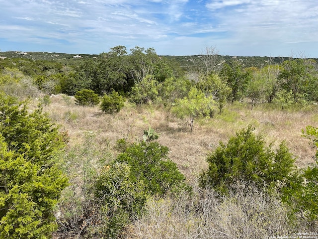 LOT59 County Road 273, Mico TX, 78056 land for sale