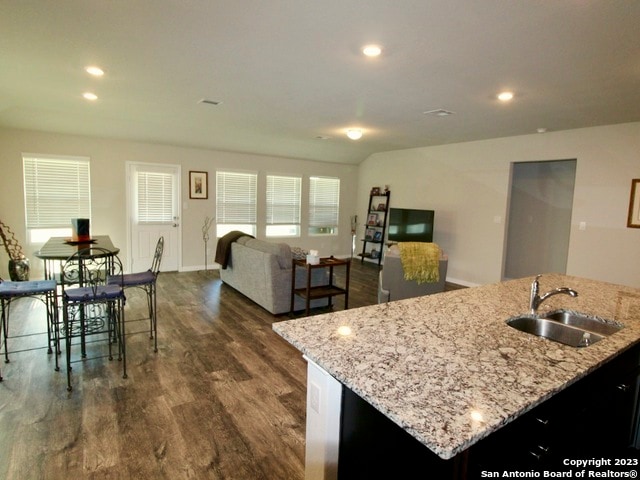 kitchen featuring light stone countertops, dark hardwood / wood-style floors, sink, and a kitchen island with sink