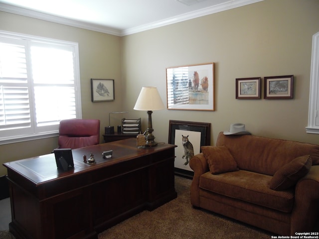 office featuring crown molding and dark carpet