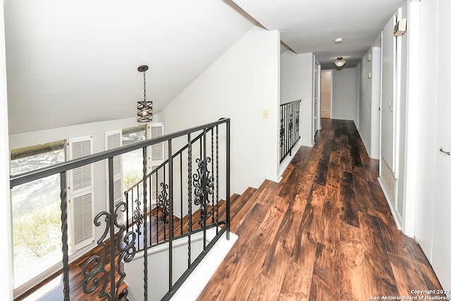 hallway featuring lofted ceiling and dark hardwood / wood-style floors