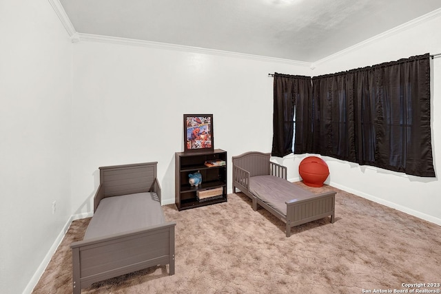 living area with light carpet and ornamental molding