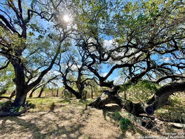 view of nature