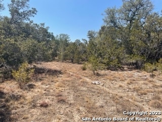 Listing photo 2 for LOT36 Cliff Dr, Spring Branch TX 78070