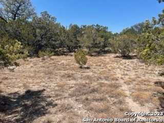 Listing photo 3 for LOT36 Cliff Dr, Spring Branch TX 78070