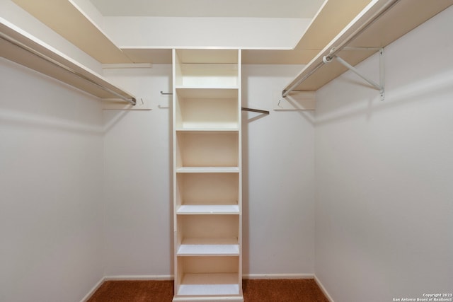 walk in closet with dark carpet