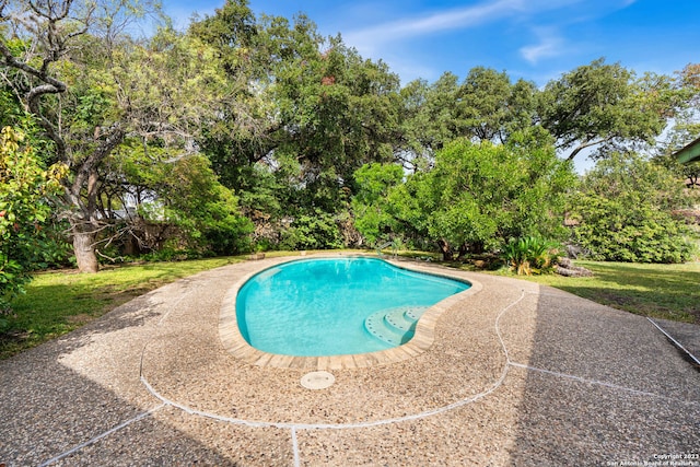 view of swimming pool featuring a patio