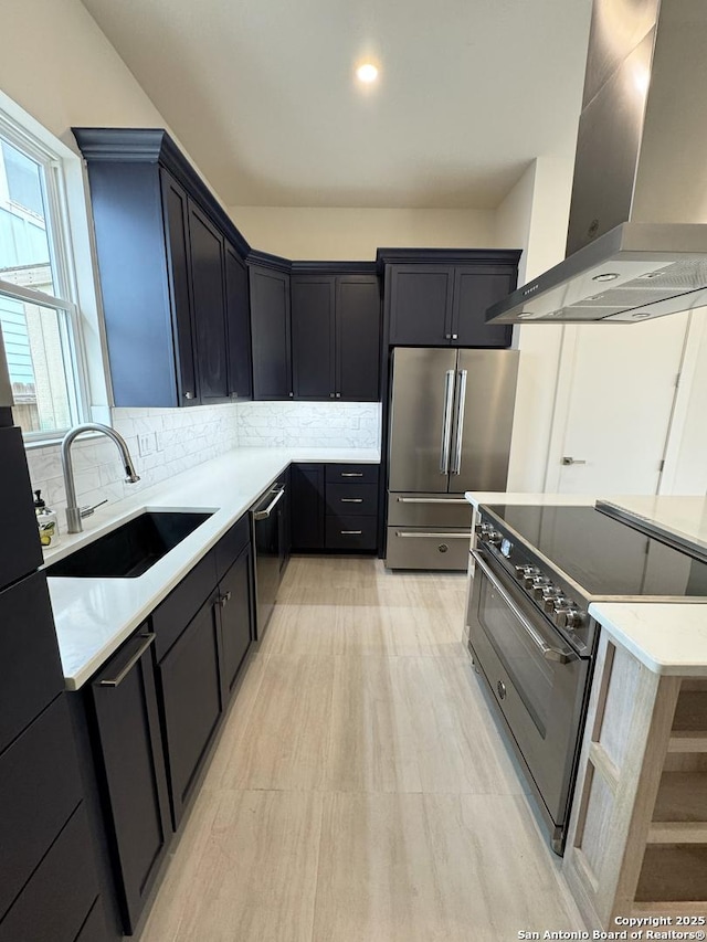 kitchen with sink, decorative backsplash, premium appliances, and ventilation hood