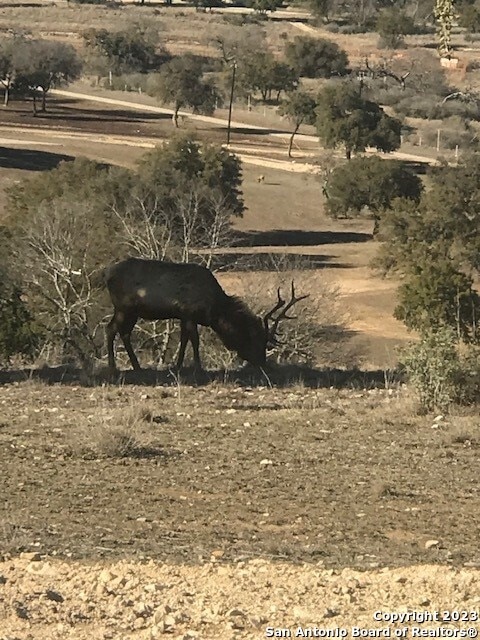 Listing photo 3 for LOT78 Elk Mtn, Pipe Creek TX 78063