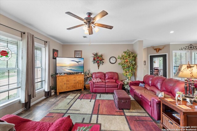 living room with ornamental molding, wood finished floors, and a wealth of natural light