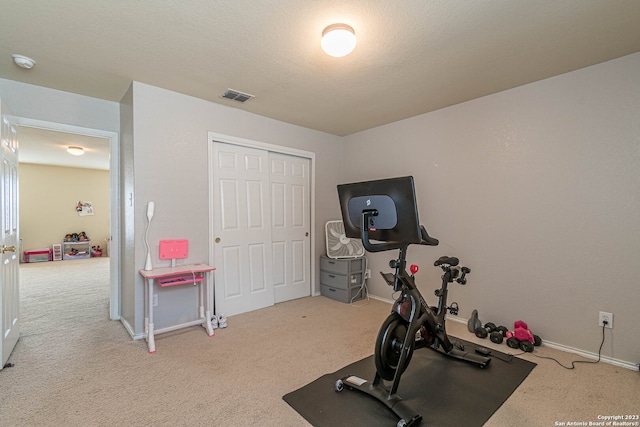 exercise area with light carpet