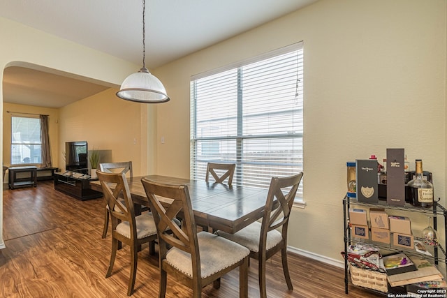 dining area featuring dark hardwood / wood-style flooring