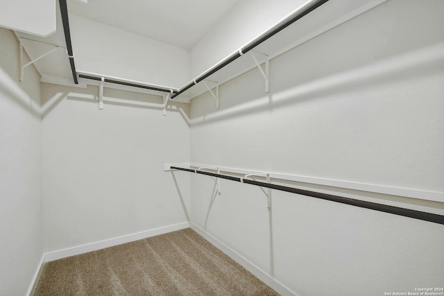 walk in closet with light colored carpet