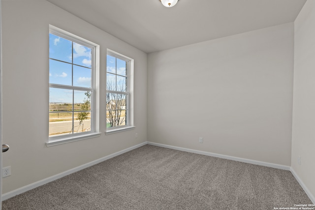 empty room with carpet flooring and a wealth of natural light