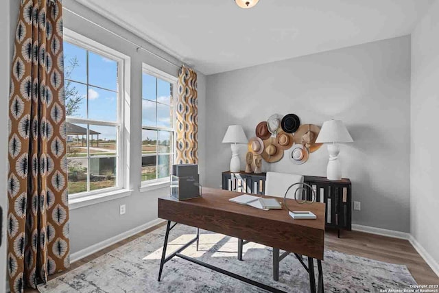 office space with light hardwood / wood-style floors