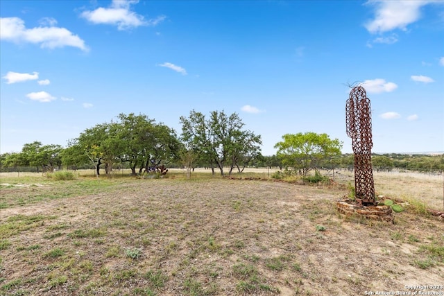 view of yard with a rural view