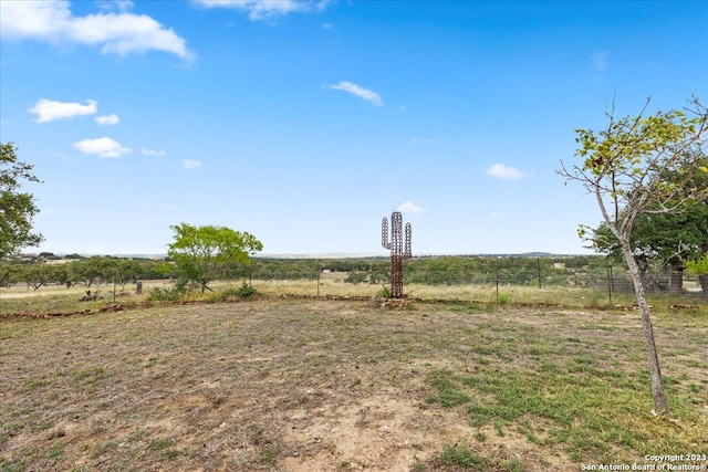 view of yard with a rural view