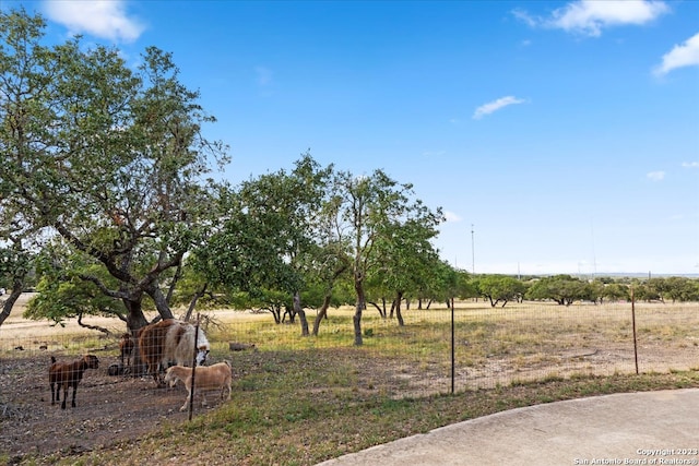 view of yard featuring a rural view