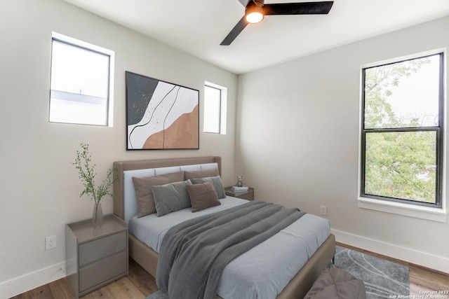 bedroom featuring multiple windows, hardwood / wood-style floors, and ceiling fan