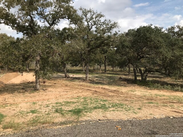 160 Hondo Rdg, La Vernia, TX 78121
