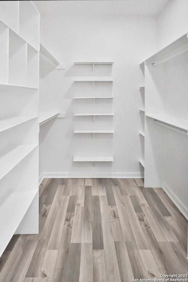 walk in closet with light wood-type flooring