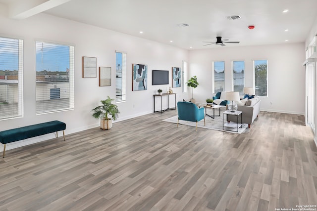 living room featuring ceiling fan and wood-type flooring