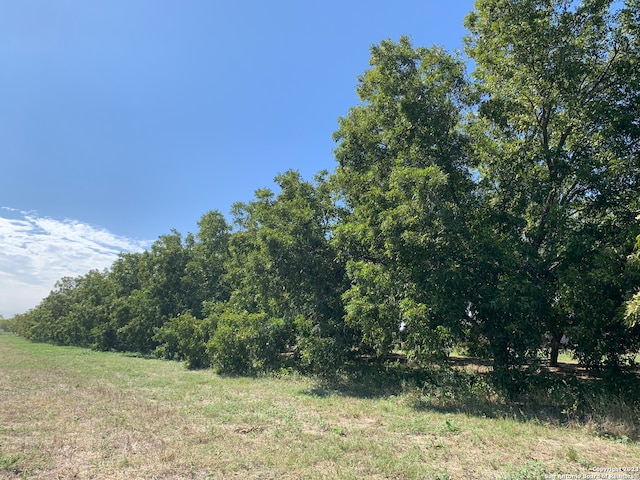 Listing photo 2 for 263 Krams Creek Rd, Seguin TX 78155