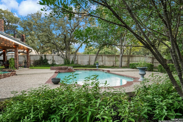 view of swimming pool featuring a patio area