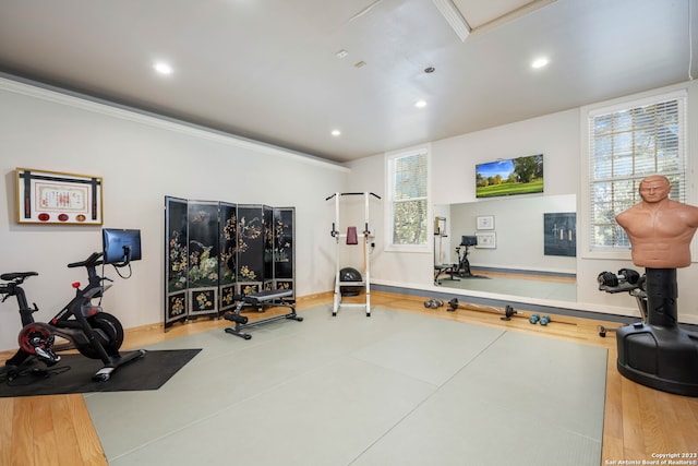 workout area with plenty of natural light, light wood-type flooring, and crown molding