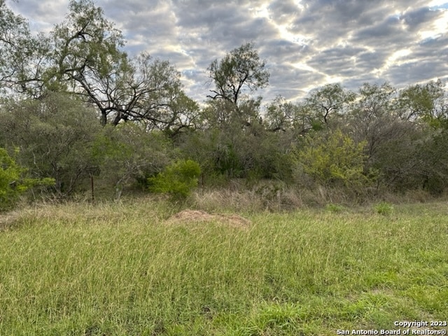 Listing photo 2 for 000 Christine Rd, Jourdanton TX 78026