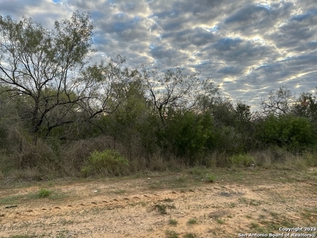 Listing photo 3 for 000 Christine Rd, Jourdanton TX 78026