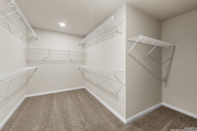 walk in closet with carpet flooring