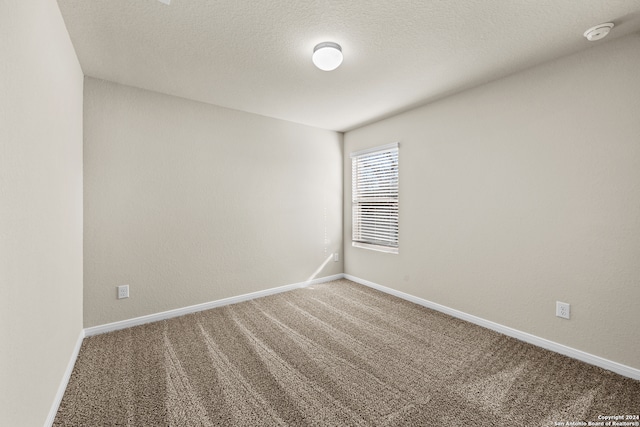 unfurnished room with carpet and a textured ceiling