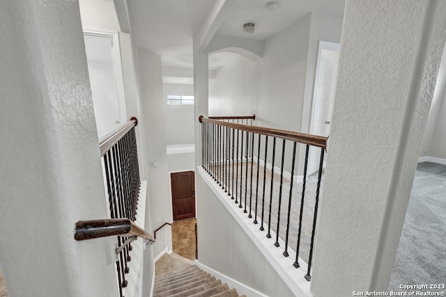 stairway with light carpet