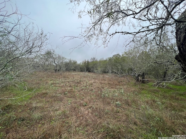 0 Fm 466, Seguin TX, 78155 land for sale