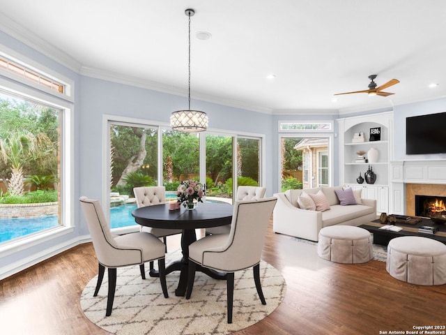 dining room featuring plenty of natural light, light hardwood / wood-style floors, and ceiling fan