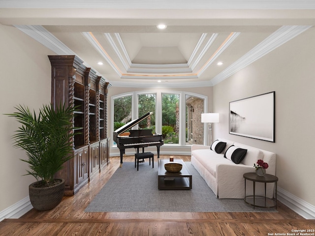 living room featuring crown molding and a tray ceiling