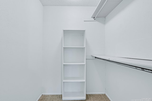 spacious closet featuring light carpet