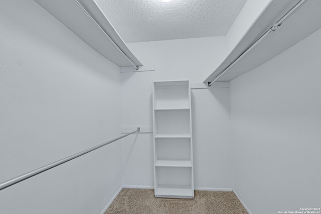 walk in closet with carpet