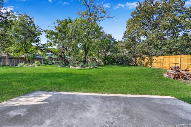 view of yard featuring a patio area