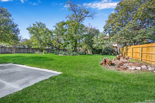 view of yard featuring a patio area