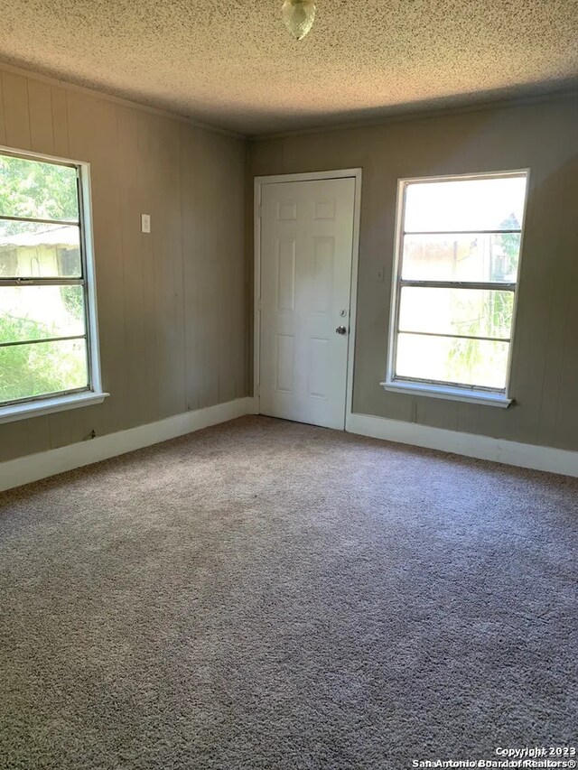 carpeted empty room with plenty of natural light and a textured ceiling