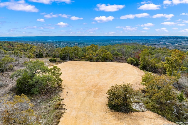 Listing photo 3 for TBD E Twisted Oak Trl, Blanco TX 78606