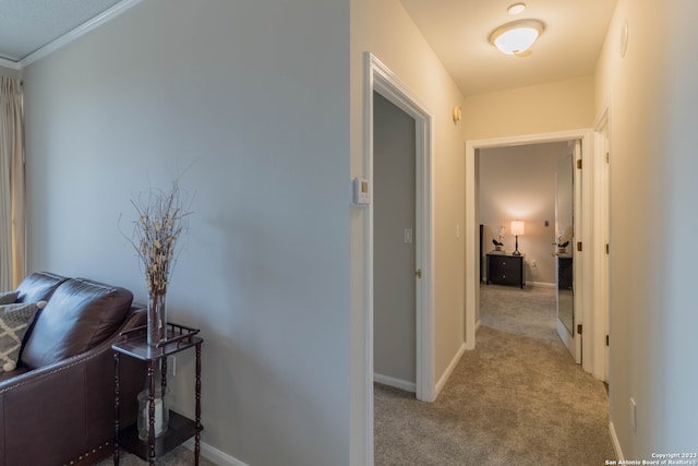 hall featuring light carpet and ornamental molding