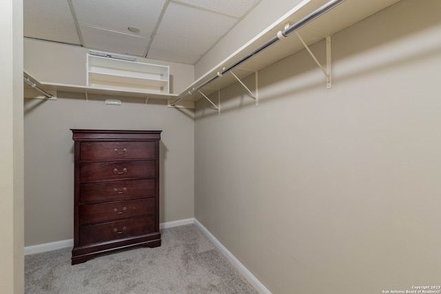 walk in closet with light colored carpet